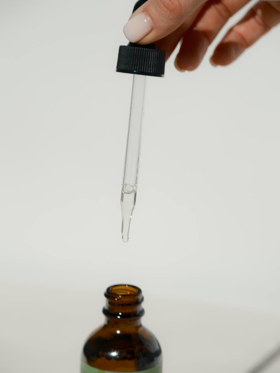 The Secret of the Rosemary Fields